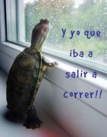 descargar wallpaper anime